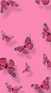Soft messy aesthetic butterfly pink pinkbitterfly cute. Cute Aesthetic Pink Butterfly Wallpapers Wallpaper Cave