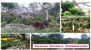 Taman rusa merupakan salah satu objek wisata yang terletak di aceh besar yaitu tepatnya di desa lamtanjong, sibreh. Villa Istana Bunga Keluarga Rombongan Kolam Renang