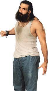 Luke Harper The Wyatt Family Wwe Erick Rowan