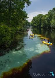Our relationship with each other and our relationship with god. Paddling The Santa Fe River Florida
