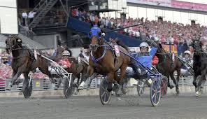 Matka euroopan suurimpaan ravitapahtumaan elitloppettiin, joka. Elitloppet Timoko Stole The Show