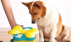 Before we get into the best dog toys for enrichment, don't forget to play it safe! Boredom Busters For Your Pooch The Best Dog Toys To Keep A Restless Pup Entertained Daily Mail Online