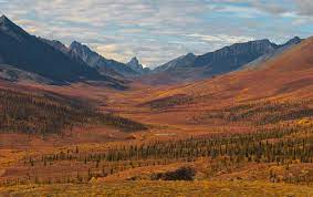 We did not find results for: 2017 Fly In Fall Colour Workshop Deep Into Tombstone Territorial Park Kevin Pepper Photography