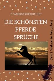 Die Schonsten Pferde Spruche Schone Pferde Pferdespruche Pferde