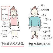 潜在性甲状腺ホルモン機能低下症は副腎疲労が原因で妊娠しづらいカラダになるわけ 自然療法妊活サロン 副腎 甲状腺 自然療法