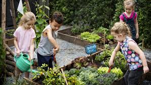 Not only will the kids be having fun conducting these experiments but they will be learning too. Fun Backyard Science Experiments For The Holidays