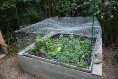 Using raised garden beds can make it easier to block critters with fencing under and above the bed. 23 Garden Screening Ideas Garden Screening Garden Vegetable Garden
