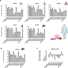 Image result for Blue 1999 AAV