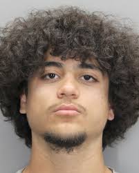 The Herndon Police Department is looking for individuals who may have  witnessed this incident. You are asked to call 703-435-6846 with any  information.