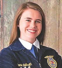 Town of Greenville: Who does what? Is Pic-N-Sav leaving or staying?