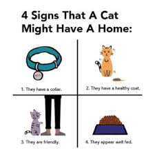 Helping paws rescue relies on the kindness and. Lost And Found Guelph Humane Society