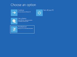 Once you make all your decisions, click next, and windows will generate a screen that summarizes all the decisions you have. Recovery Options In Windows