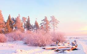 Find the best aesthetic wallpapers on getwallpapers. Nature Aesthetic Desktop Wallpapers Wallpaper Cave