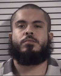 PHOTOS: Iredell mugshots Jan. 23-29