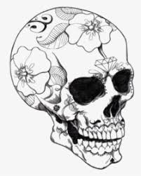 Every color has two enemies and two allies. Skull Mandala Coloring Pages Hd Png Download Kindpng