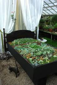 Ein Blumenbeet Im Blumen Bett Bed Of Plants Gartenbeet Blumenbeet Altes Bettgestell
