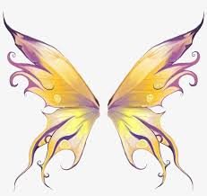 download fairy wings png source asa de fada png for free nicepng provides large related hd transparent in 2020 fairy drawings fairy wing tattoos fairy wings drawing pinterest