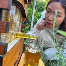 New Beehive in NSW, Australia, Combining Nature and Design