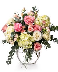 We did not find results for: Bouquet Of Hydrangea And Pink Roses Magnolia Ro