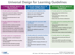 Meeting Diverse Student Learning Needs With Udl Luminaris