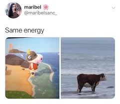 50 Animal Crossing Memes For People Glued To Their Switch Memebase Funny Memes In 2020 Animal Crossing Funny Animal Crossing Game Animal Crossing Memes