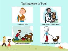 Take Care Your Pet Do You Want To Improve Your Pet S Health Please Click Share And Pin It Love Your Pet Your Pet Pet Care