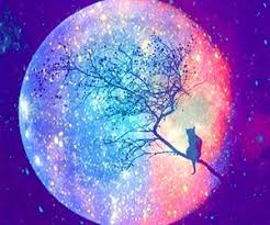 Galaxy Cat With Moon Galaxy Painting Galaxy Cat Unicorn Pictures