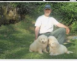 Pastore abruzzese, maremmano il cane da pastore maremmano abruzzese è uno splendido esempio della capacità di selezione dei pastori della nostra penisola, che nel corso di millenni hanno creato una razza perfettamente adattata alle loro esigenze di lavoro. Regalo Pastore Maremmano Da Privato A Cagliari Vendita Cucciolo Cucciolo Maschio Pastore Abruzzese Maremmano
