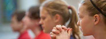 2012-2013 ANNUAL REPORT