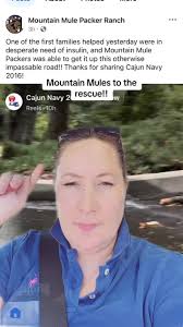 Mule Defending Against Mountain Lion