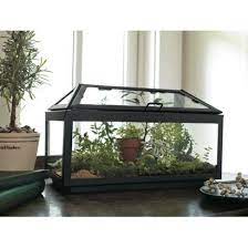 Smith Hawken Steel And Glass Terrarium Target 24 Glass Terrarium Decor Collection Terrarium