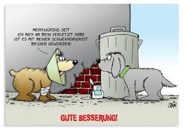 Gute Besserungswunsche Kollegen Lustig 11 08 2011 Schlechter Statt Besser Gute Besserung Spruche Gute Besserung Lustig Besserung