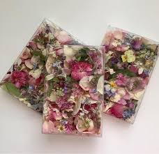 The major exotics are palm spear, lotus pods, bell cup, mehogany pods, cattails. Dry Flower Confetti Flower Girl Basket Dry Rose Petals Etsy Dried Flower Confetti Dried Rose Petals Flower Confetti
