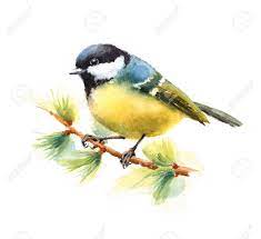 Image Associee Pastellzeichnung Aquarell Aquarelltiere