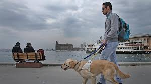 Hem Ev Hem Yol Arkadasi