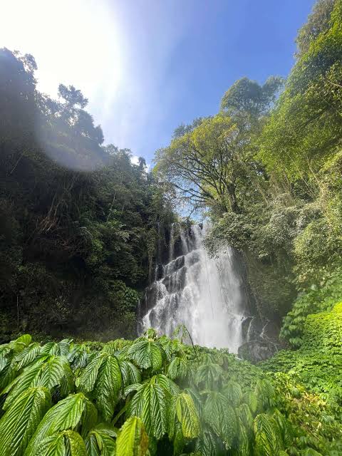 Air Terjun Cemara