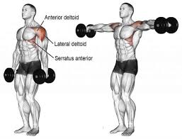 Lateral Raise Benefits Idman Fitness Egzersizleri Vucut Gelistirme
