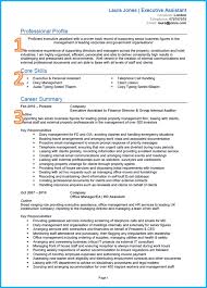 17+ free curriculum vitae templates & examples. Curriculum Vitae Examples Templates And Writing Guide