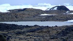 On the continent itself, the large volume of ice present stores around 70% of the world's fresh water. Comfortable In The Cold Life Below Freezing In An Antarctic Lake Nova Pbs