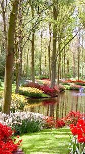 peisaj de primavara paysages printemps beaux jardins paysage