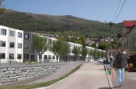 Intensjonen med planforslaget er å tilrettelegge for studentboliger innenfor det kombinerte formålet i gjeldende reguleringsplan. Brann Stadion Student Housing Bergen