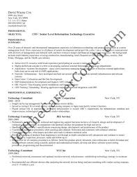 For more samples of finance resume templates, refer to the provided link. Download The Technology Consultant Resume Sample Two In Pdf