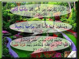 في سورة الإنسان ذكر لنا الله تعالى ثلاثة أنواع من الشراب كل منها أعلى من الذي سبقها أولا ذكر أنهم يشربون من كأس كان مزاجها كافور outdoor decor outdoor decor