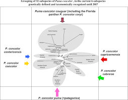 She was previously married to volker nüsslein. Jaguar An Overview Sciencedirect Topics