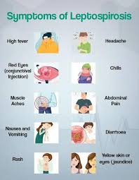 images?q=tbn:ANd9GcQYZ1TFWFBJRFT98iiKSTgl2WZW16PSiIZtsg&s