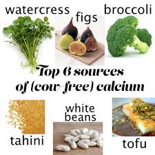 Calcium helps you lose weight, studies show. Calcium Rich Foods Dairy Free Future King Queen