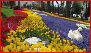 Ini dia tujuan wisata musim dingin di turki yang wajib dikunjungi wisata halal cheria holiday. Menikmati Bunga Tulip Saat Musim Semi Di Istanbul Turki Satutours Co Id