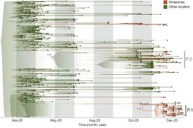 É um diagrama dos relacionamentos entre salas, espaços e outros aspectos físicos em um nível de uma estrutura. Genomics And Epidemiology Of A Novel Sars Cov 2 Lineage In Manaus Brazil Medrxiv