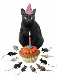 Meskipun kekocakan foto itu nampak biasa, namun foto tersebut bisa mengubah mood anda. Best Joyeux Anniversaire Chat Gifs Gfycat