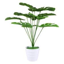 We did not find results for: Bulk Wholesale Artificial Tropical Flowers With Coupon From Dhgate 17th Anniversary Promotion Dhgate
